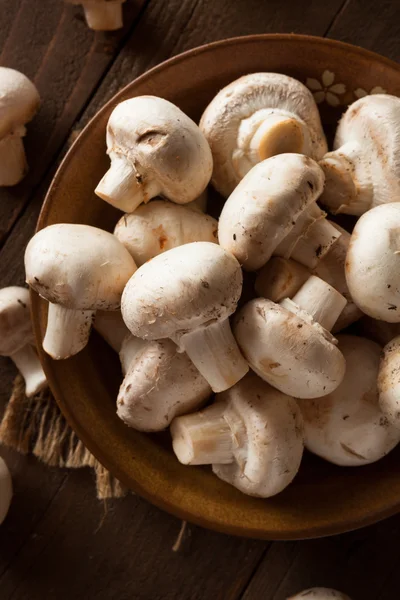 Raw Organic White Mushrooms — Stock Image Raw Organic White Mushrooms Stock Photo