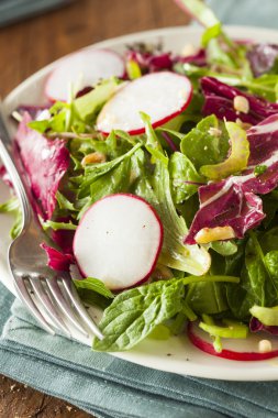 Sağlıklı ev yapımı ot salatası