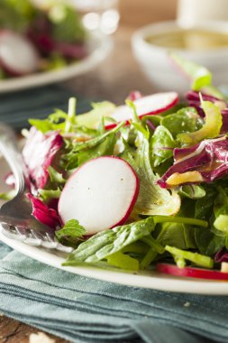 Sağlıklı ev yapımı ot salatası