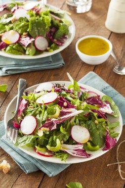 Sağlıklı ev yapımı ot salatası