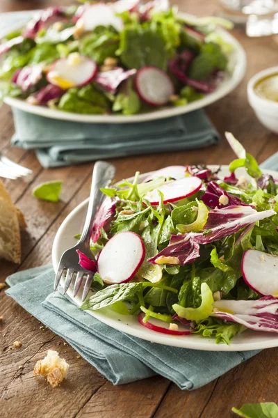 Salada de ervas caseira saudável — Fotografia de Stock