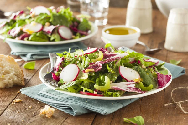 Salada de ervas caseira saudável — Fotografia de Stock