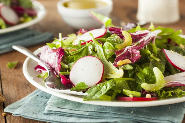 Salada de ervas caseira saudável — Fotografia de Stock