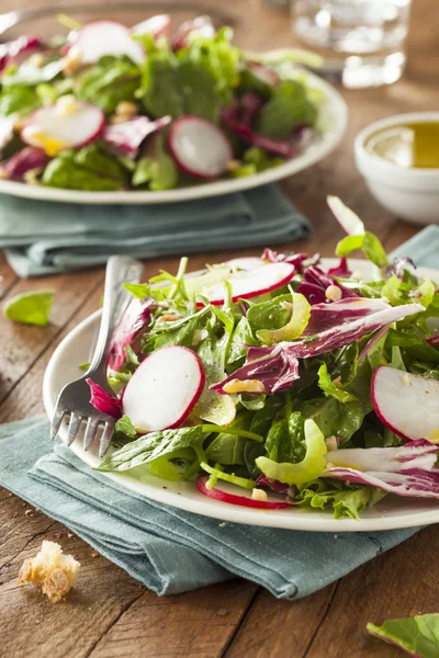 Frisk hjemmelaget Herb Salad – stockfoto