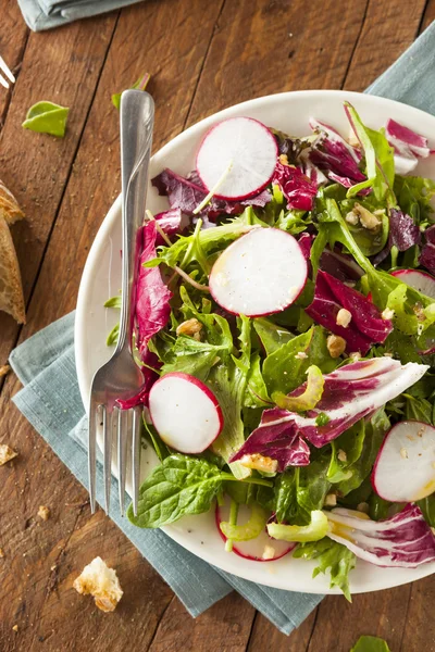 Hälsosam hemlagad örtsallad — Stockfoto