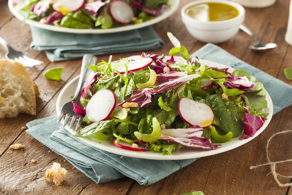 Salada de ervas caseira saudável — Fotografia de Stock
