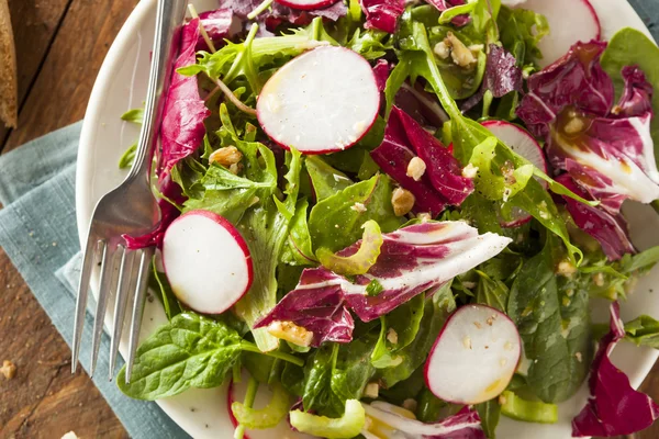 Gezonde zelfgemaakte kruid salade — Stockfoto