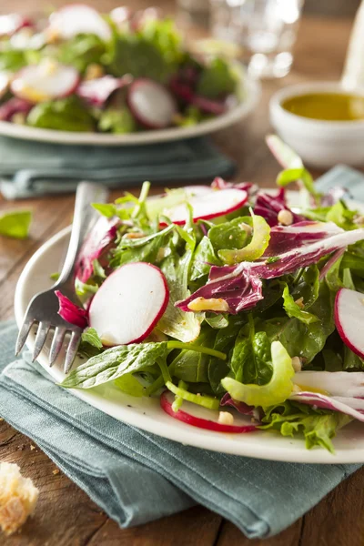 Salada de ervas caseira saudável — Fotografia de Stock