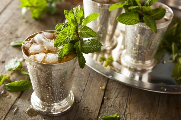 Orzeźwiające zimne Mint Julep — Zdjęcie stockowe