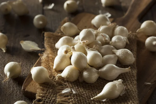 White Organic Pearl Onions — Stock Photo, Image