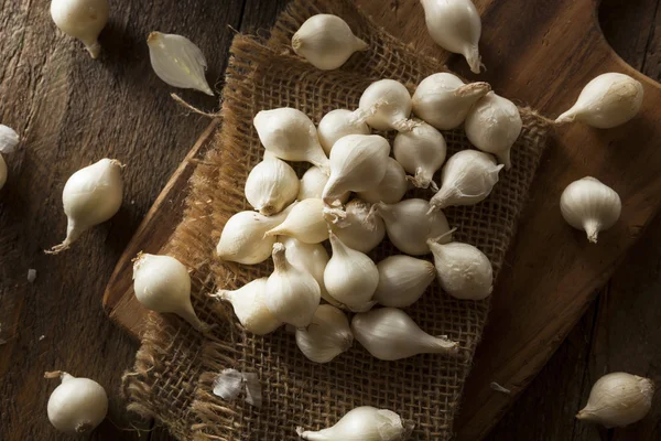 Cebola pérola orgânica branca — Fotografia de Stock