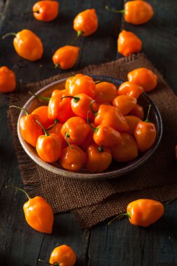 Raw Organic Orange Habanero Peppers clipart