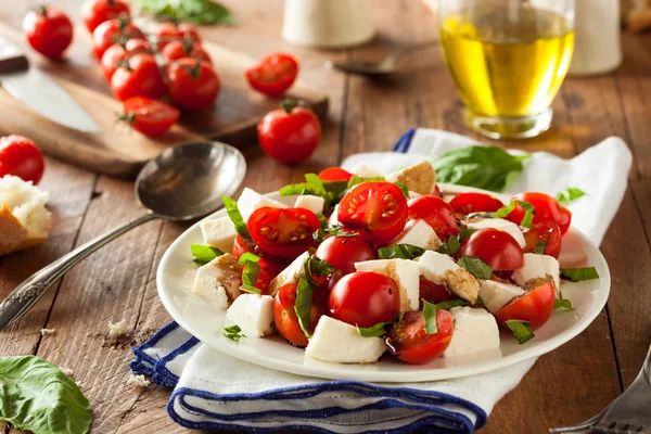 Hausgemachter gesunder Caprese-Salat — Stockfoto