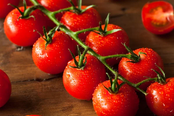 生の有機赤チェリー トマト — ストック写真