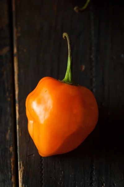 Peperoni di Habanero all'arancia biologica cruda — Foto Stock