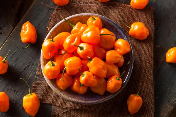 Pimentas de Habanero laranja orgânicas cruas — Fotografia de Stock