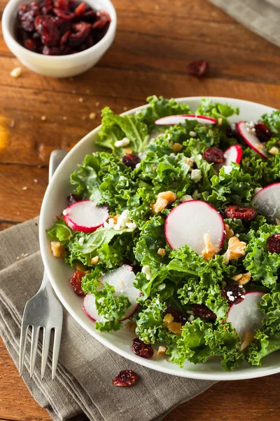 Salada de couve crua e cranberry saudável — Fotografia de Stock
