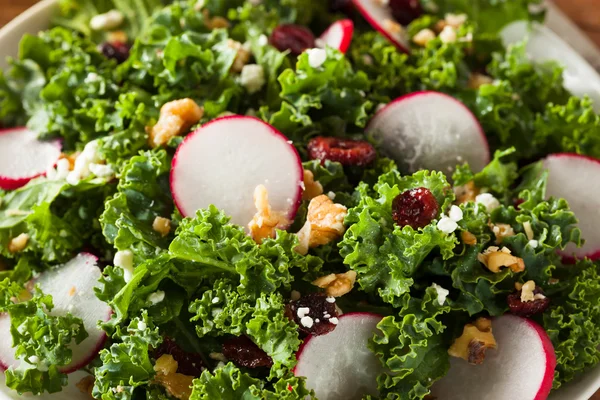 Zdravé surového Kale a brusinkový salát — Stock fotografie
