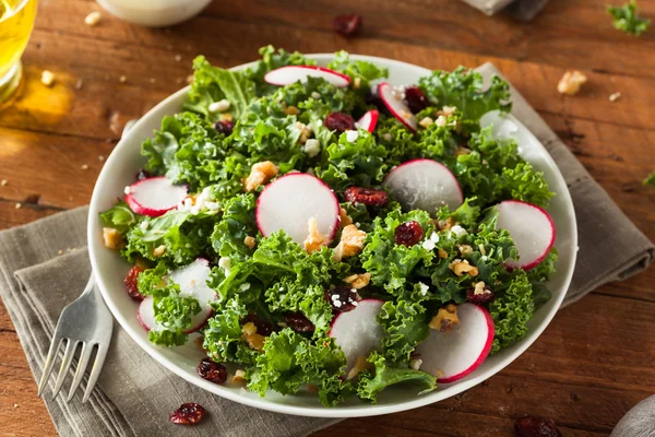 Friska Raw grönkål och tranbär sallad — Stockfoto