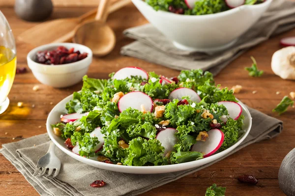 Friska Raw grönkål och tranbär sallad — Stockfoto