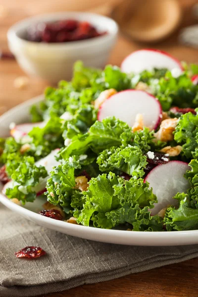 Ensalada de col rizada y arándano crudo saludable —  Fotos de Stock