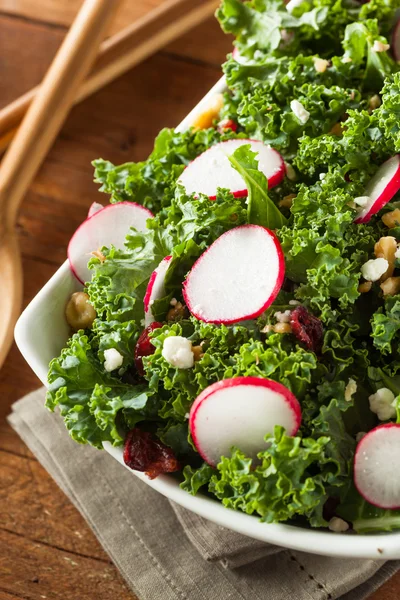 Ensalada de col rizada y arándano crudo saludable —  Fotos de Stock