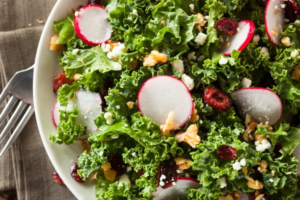 Healthy Raw Kale and Cranberry Salad — Stock Photo, Image