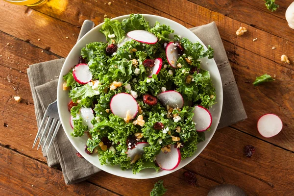 Salada de couve crua e cranberry saudável — Fotografia de Stock