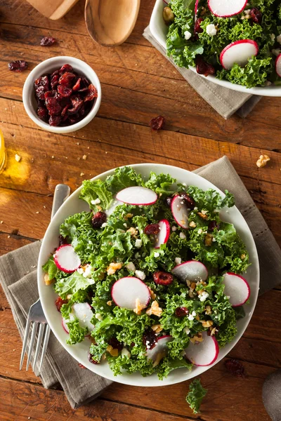 Friska Raw grönkål och tranbär sallad — Stockfoto