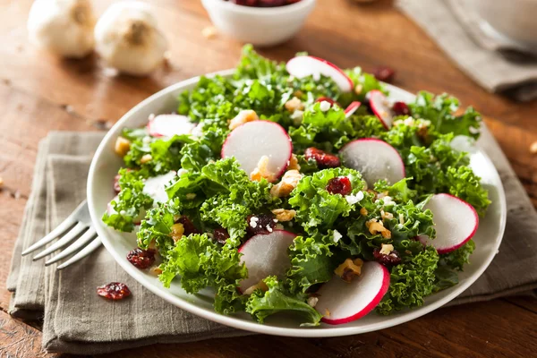 Ensalada de col rizada y arándano crudo saludable —  Fotos de Stock