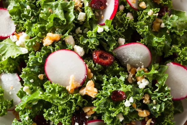 Ensalada de col rizada y arándano crudo saludable —  Fotos de Stock