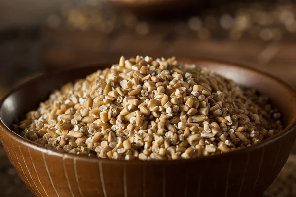 Raw Organic Steel Cut Oats — Stock Photo, Image