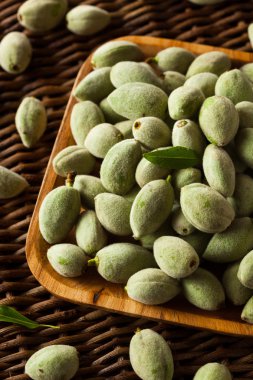 Organik taze yeşil badem