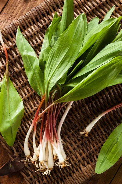 Ramps Stock Photos, Royalty Free Ramps Images | Depositphotos