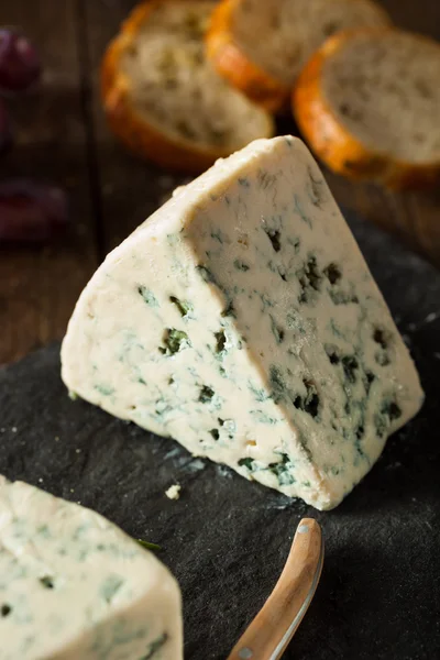 Ekologiczny ser niebieski klina — Zdjęcie stockowe