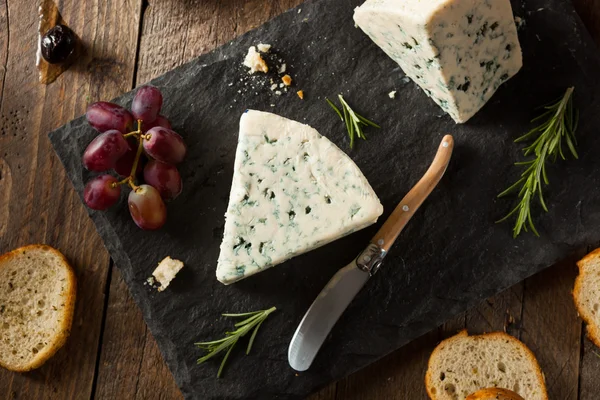 Cuña de queso azul orgánico — Foto de Stock