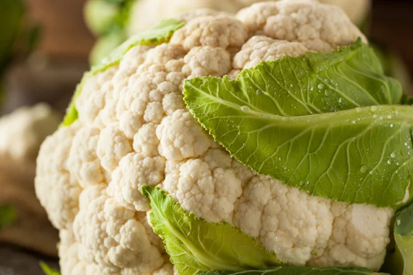 Raw Organic Cauliflower Heads — Stock Image Raw Organic Cauliflower Heads Royalty Free Stock Photos