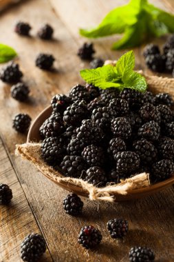 Taze ham organik böğürtlen