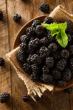 Taze ham organik böğürtlen