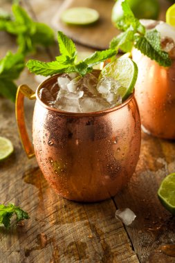 Buz gibi soğuk Moskova katır