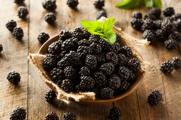 Fresh Raw Organic Blackberries — Stock Photo, Image