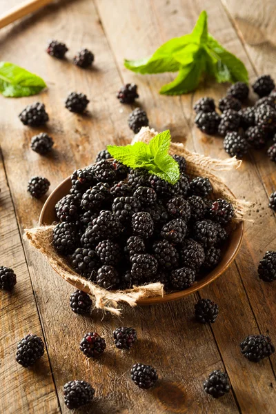 Fresh Raw Organic Blackberries — Stock Photo, Image