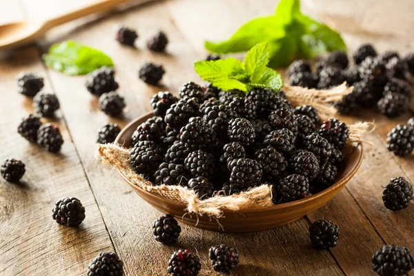 Fresh Raw Organic Blackberries — Stock Photo, Image