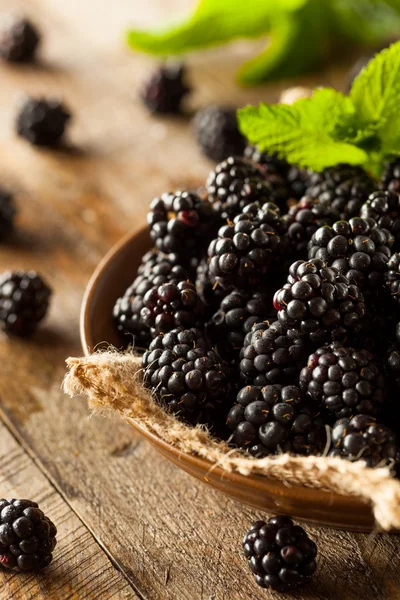 Fresh Raw Organic Blackberries — Stock Photo, Image