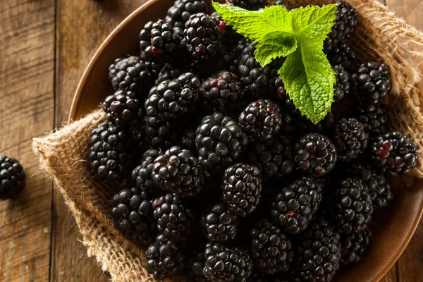 Fresh Raw Organic Blackberries — Stock Photo, Image