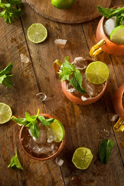 Icy Cold Moscou Mules — Photo