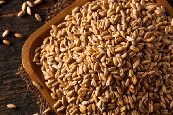 Raw Organic Spelt Grain — Stock Photo, Image