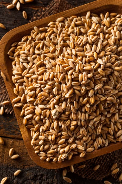 Raw Organic Spelt Grain — Stock Photo, Image