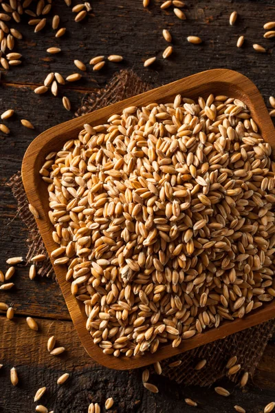 Ham organik yazıldığından tahıl — Stok fotoğraf