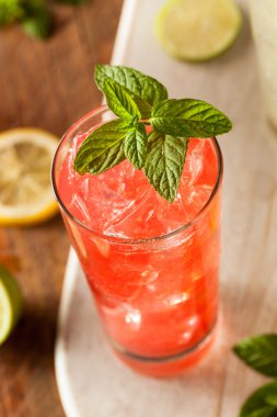 Organik taze İtalyan Soda